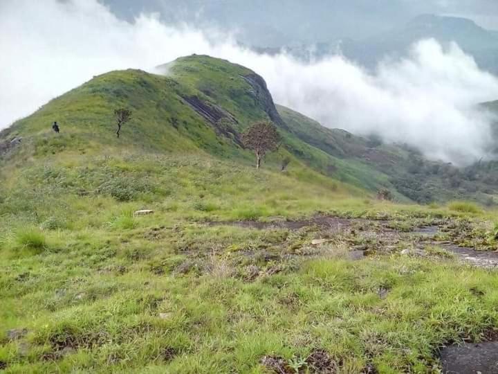 Jungle Retreat Natural Stay Kombaikadu Kodaikanal Kültér fotó